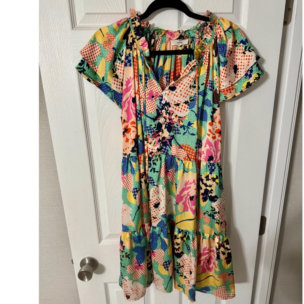 Entro Multicolor Floral Dress
